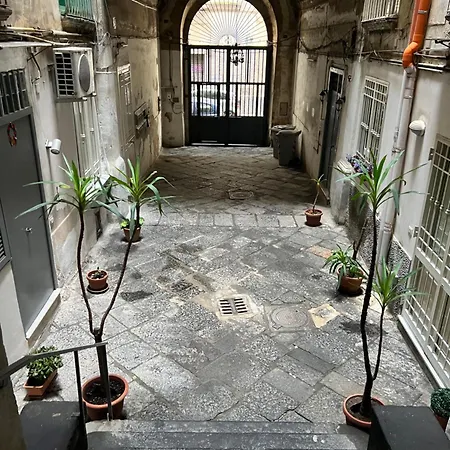 House 33 *
